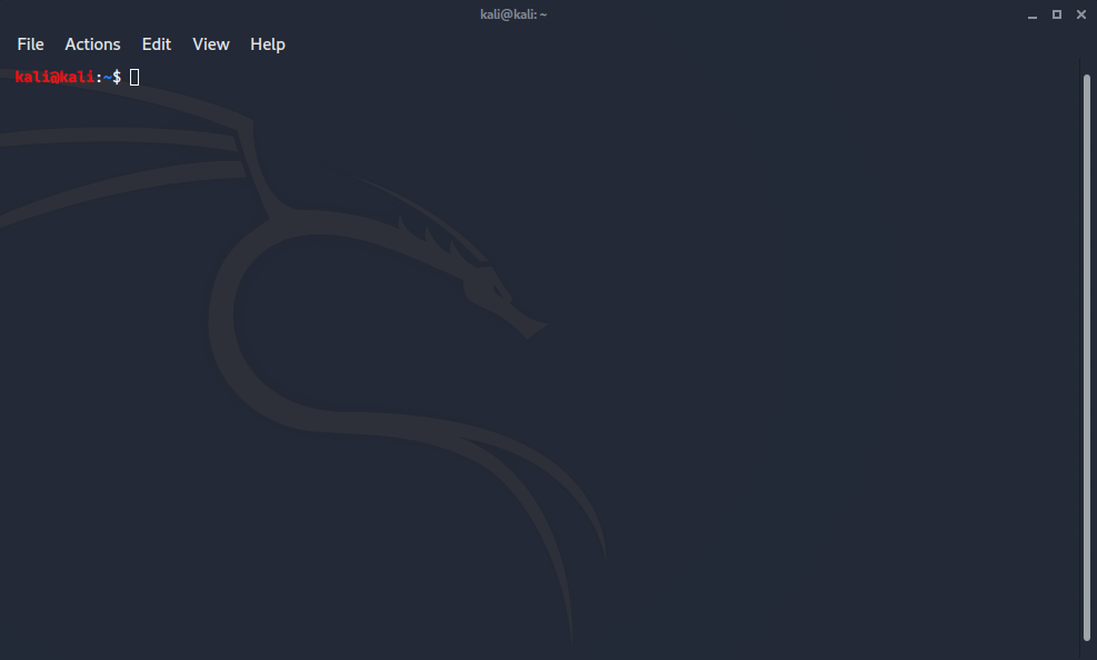 Terminal Emulator